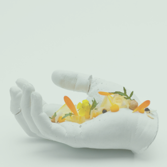 ganzheitliche & individuelle Ernährungstherapie